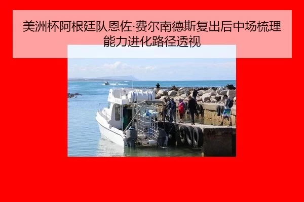 mei-zhou-bei-a-gen-ting-dui-en-zuo-fei-er-nan-de-si-fu-chu-hou-zhong-chang-shu-li-neng-li-jin-hua-lu-jing-tou-shi-2-877.jpg