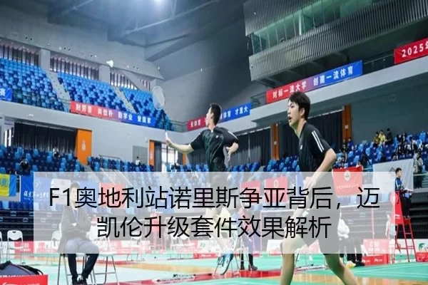 ao-di-li-zhan-nuo-li-si-zheng-ya-bei-hou-mai-kai-lun-sheng-ji-tao-jian-xiao-guo-jie-xi-2-721.jpg